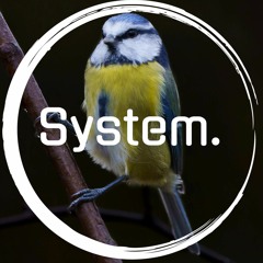 System 001