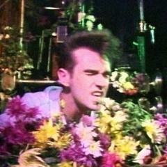 The Smiths - Ask (cover)