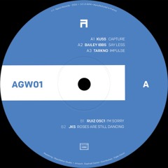 PREMIERE : Bailey Ibbs - Say Less (AGW01)