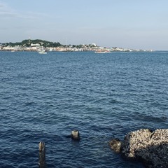เสียงสะท้อน