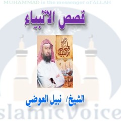 19- فاحشة سدوم