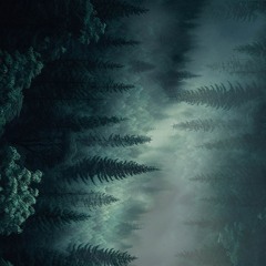 Vast Open Land