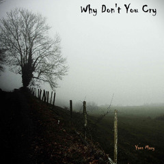 WHY DON'T YOU CRY