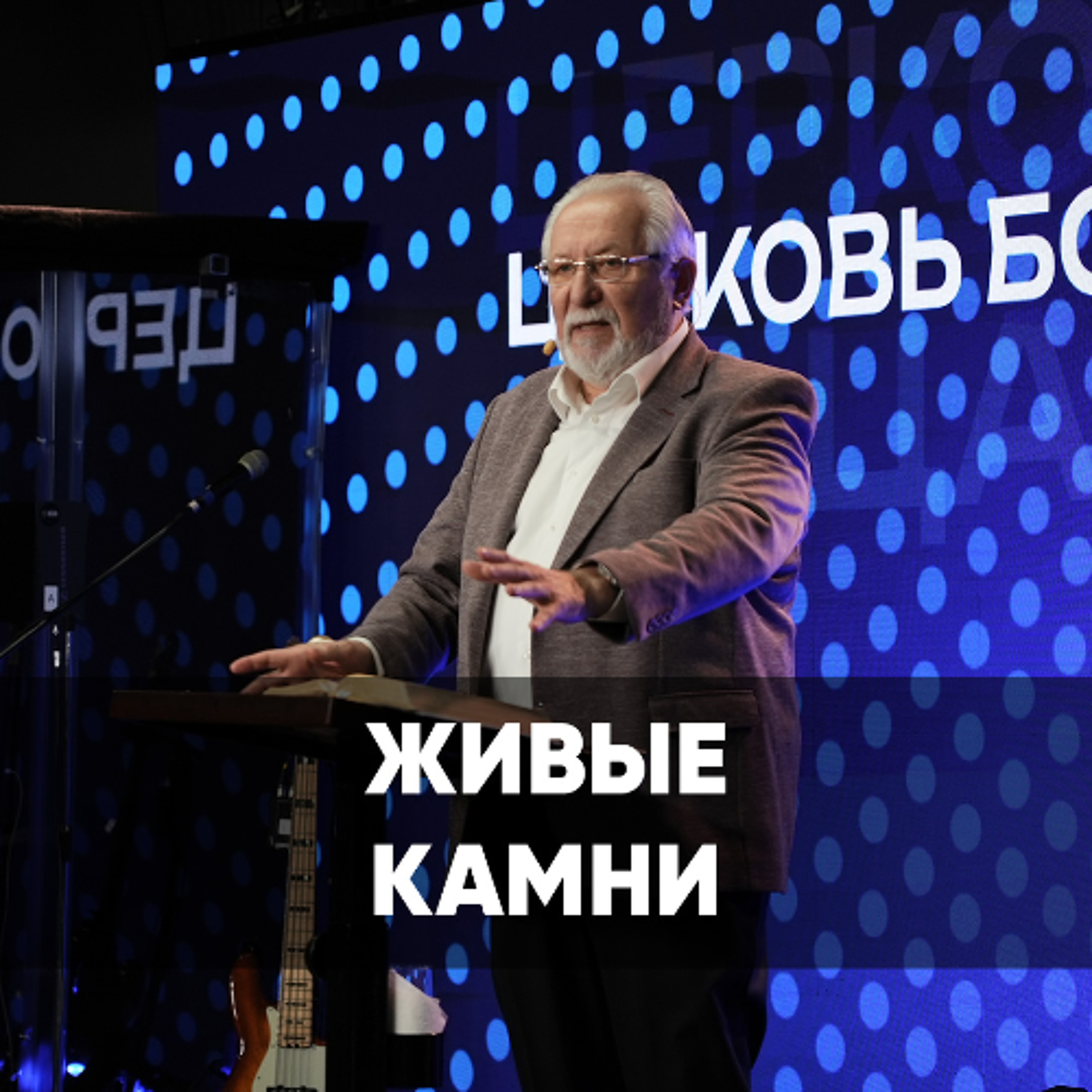 Живые камни - 1 декабря 2024 - Сергей Ряховский Живые камни - 1 декабря 2024 - Сергей Ряховский