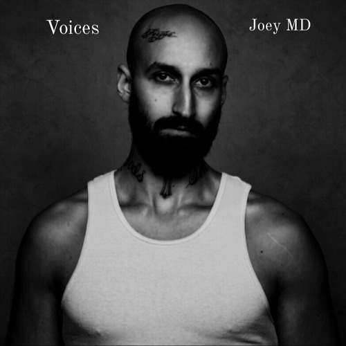 Voices