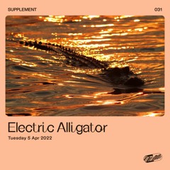 Electric Alligator – SUPPLEMENT 031