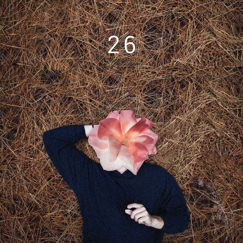 26