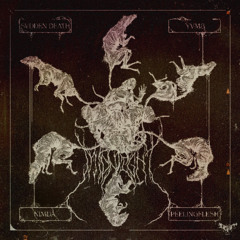 MIDNIGHT x THREAT LEVEL (DESERT HYDRA x M14 EDIT - FREE DL)