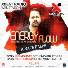 Energy Flow 002 - Mixed by Ignace Paepe