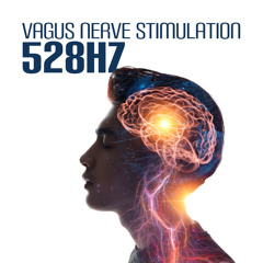 Stimulate the Vagus Nerve