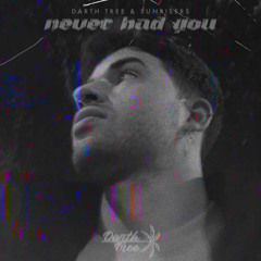 Never Had You