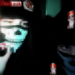 gorecenter ou wpd ?