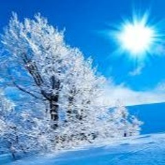 Winter Sun
