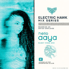 ELECTRIC HAWK MIX SERIES: 003 AAYA