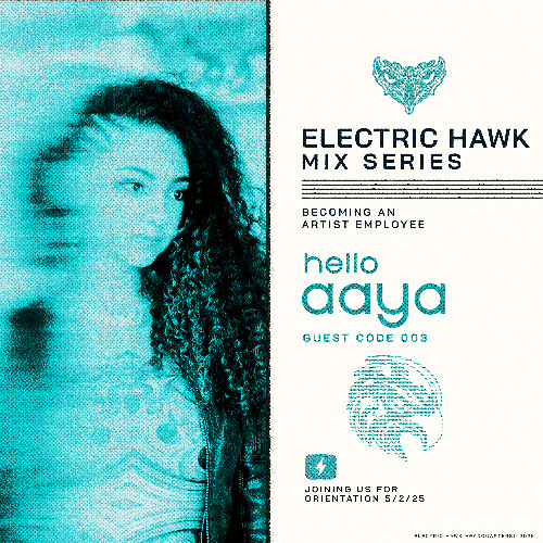 ELECTRIC HAWK MIX SERIES: 003 AAYA