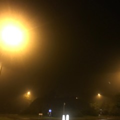 The Ghost Of A Girl I Used To Know