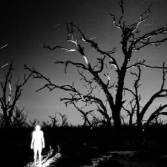 the stars would never abandon me (demo 2023)