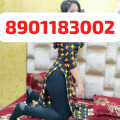 Patrika Gate 8901183002  Escorts @Service In Jaipur