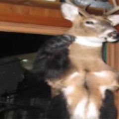 NMSY400 - “No More Shitty Years”