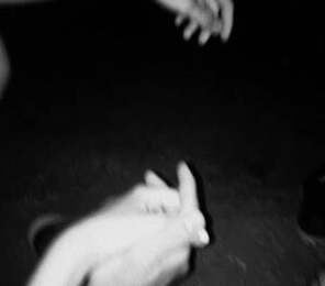 Playboi Carti – 24 Songs (Made It This Far) (SlowedReverb Tiktok Instrumental)