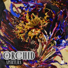 Orchid - Wonky