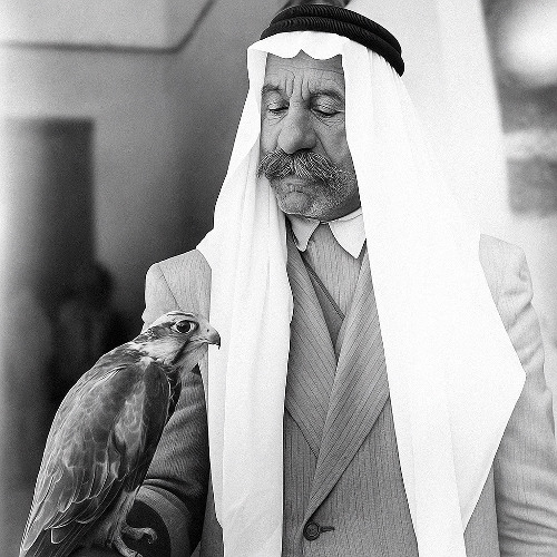 Knights Of Light / فرسان النور