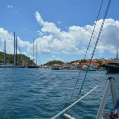 Review Special Price St Maarten Sailing And Snorkeling To Barts