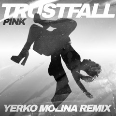 Pink - Trustfall (Yerko Molina Remix + Intro) #FREE