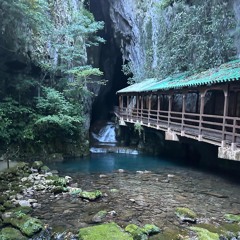 水族館で魚みてろ 歌ってみた