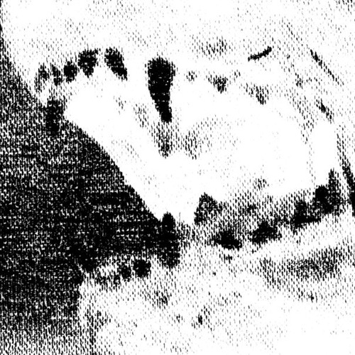 DOG BLOOD - BREAK LAW [wolfmagic edit] (stems in description)