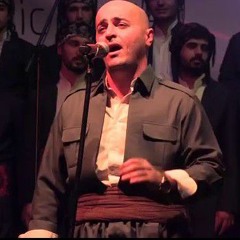 Shoresh mahmoudi_nazdar