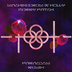 Machinedrum & Holly - Berry Patch (Paracosm Remix)