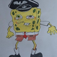 SSpongevverdoze