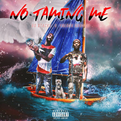 No Taming Me (Ft. Broham)