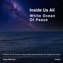Inside Us All - White Ocean Of Peace (3.5 Minutes of An Oceanic Windy White Noise Blanket)