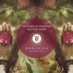 Antonello D'Arrigo & Alessio Serra - Organica