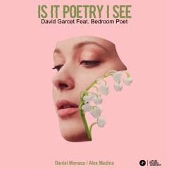 PREMIERE > David Garcet Ft. Bedroom Poet - Which Dimension Are You [JANE MUSIC AGENCY]
