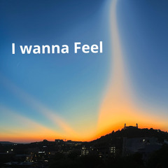 I Wanna Feel
