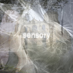 Sensory