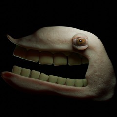 Face (BWOAHW)
