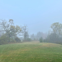 open strings, empty room