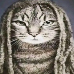 Beware - squirl beats