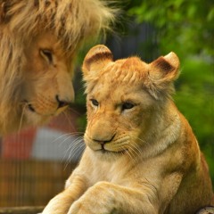 MARCUS AURELIUS QUOTE-Parent Your Mind!