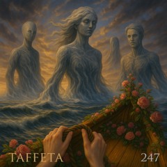 TAFFETA | 247
