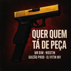 ELA QUER QUEM TÁ DE PEÇA - GUIZÃO PROD, DJ VITIN MV Feat MC MR BIM, MC WOSTIN