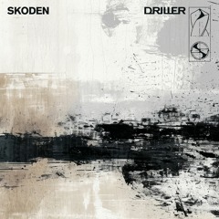 Skoden - The Heist (Original Mix) [DRLD05]