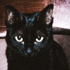 @don - "toms cat" 125 bpm