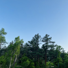 Xeraki - Jordan (Playboyflex + Dequiviante)