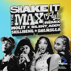 Shake It To The Max (Digital House TT Remix)