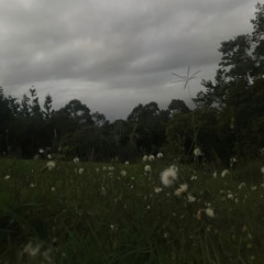 LULL
